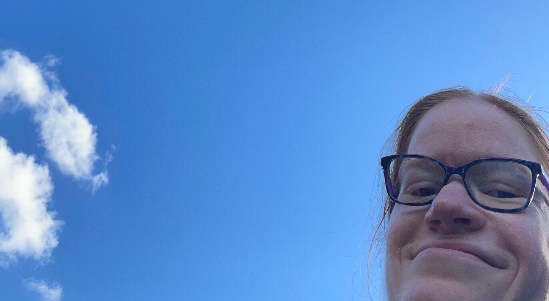 Laura's face with a blue sky all around