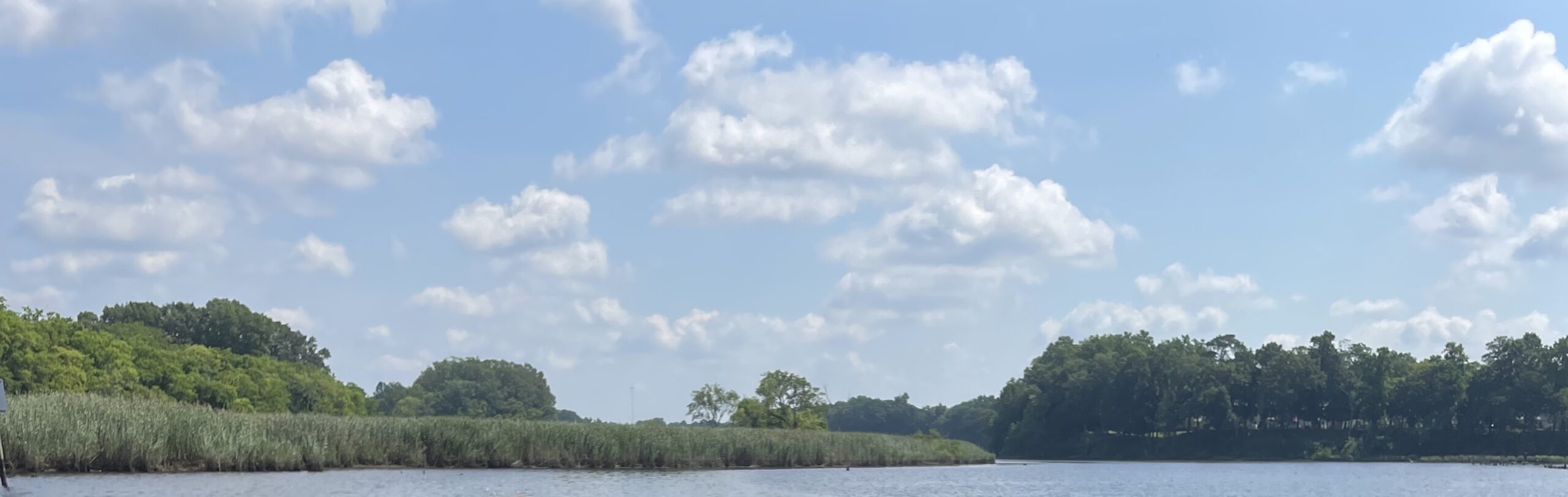 blue sky and clouds over the green landscape and body of water